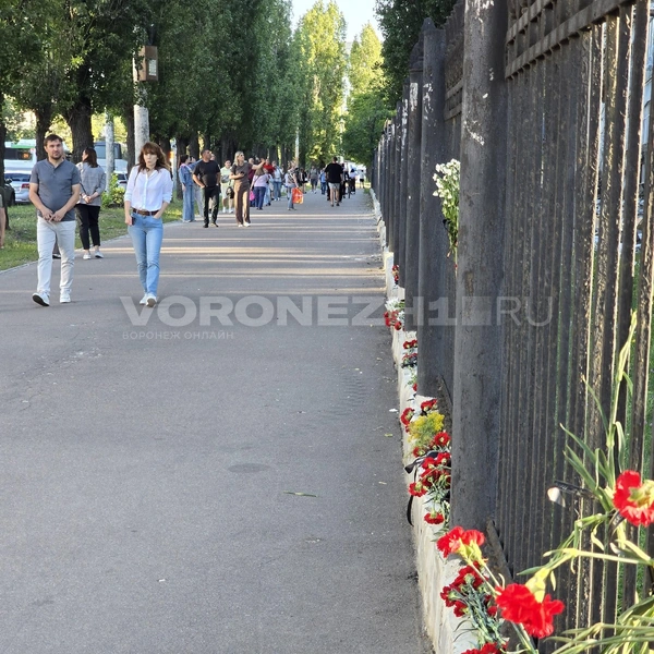Источник: Ирина Булгакова / Voronezh1.ru