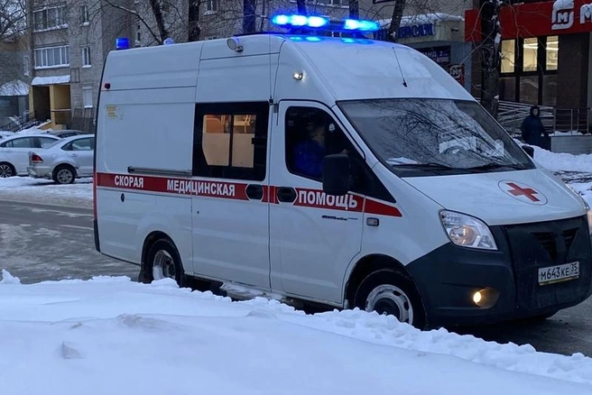 Источник: st.cherinfo.ru
