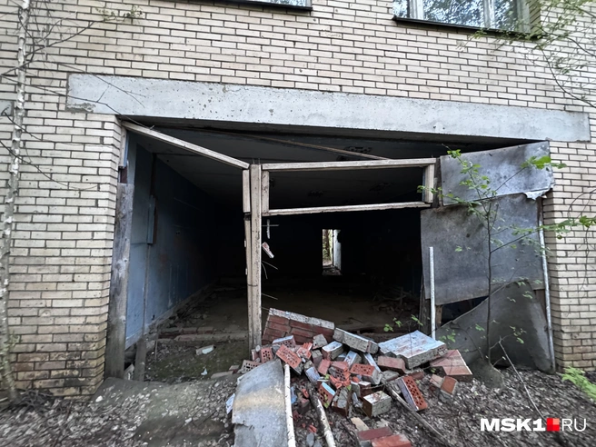 Источник: Алина Мельникова / MSK1.RU