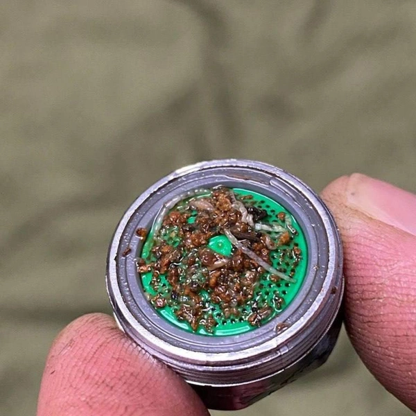 Источник: читательница Елизавета / 47news