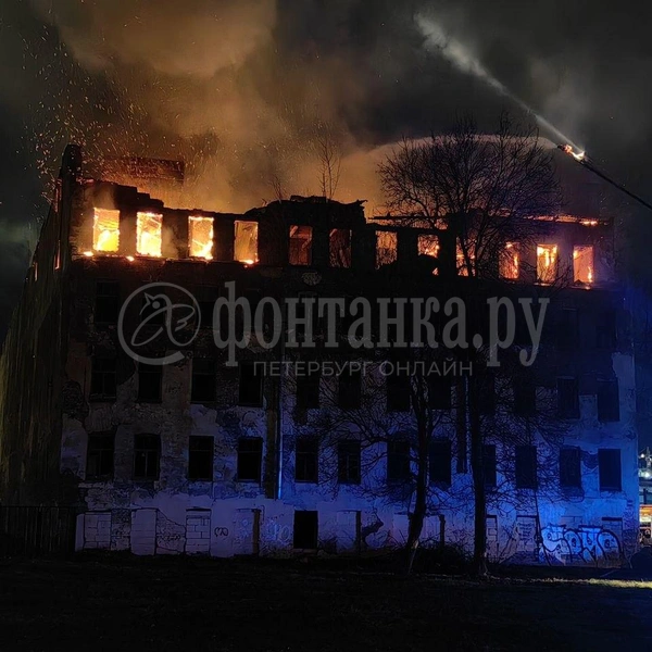 Дом, пострадавший от пожара, полностью расселен — в нем даже нет окон. | Источник: Ксения Потеева / FONTANKA.RU