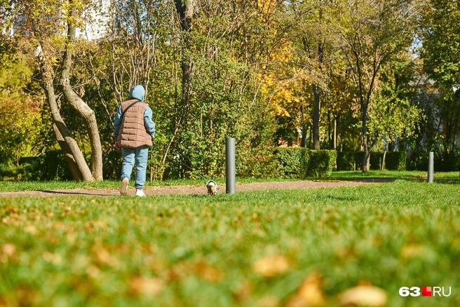 Осадков будет меньше, чем обычно, а вот температуру воздуха прогнозируют в пределах нормы — самое время гулять! | Источник: Роман Данилкин / 63.RU