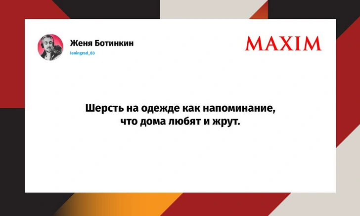 Шутки понедельника и «детектив Вареньé» | Источник: X (Twitter)