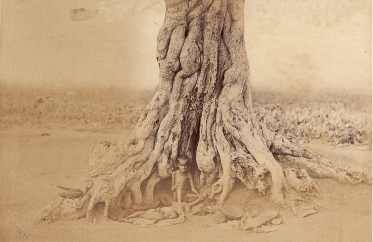 Мадрасский мор: история Великого голода в Индии 1876–1878 годов в фотографиях