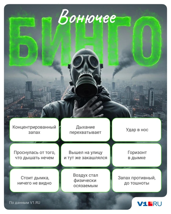 Источник: Полина Авдошина / V1.RU