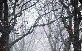 Холод увеличивает риск инфаркта