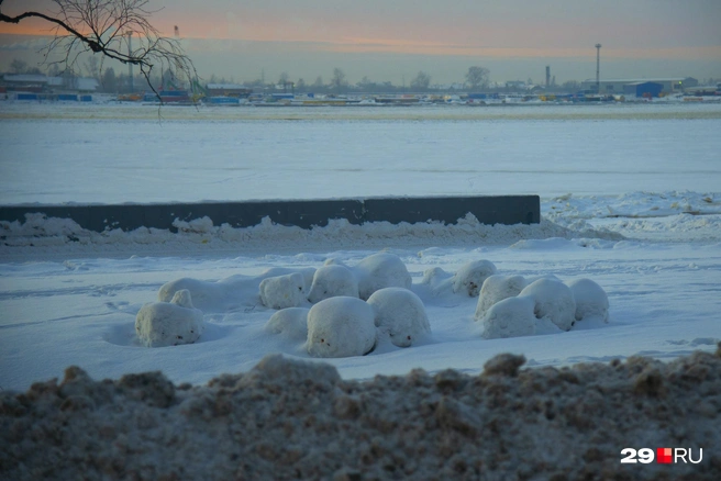 Источник: Иван Митюшёв / 29.RU