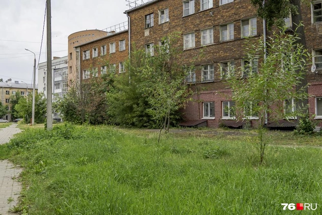 И еще один парк | Источник: Кирилл Поверинов / 76.RU