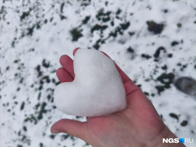 Источник: читатель НГС