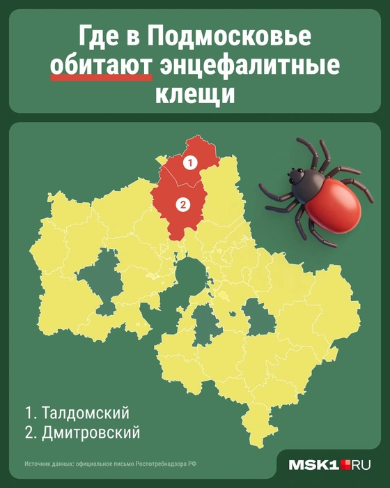 В Подмосковье эндемичными по клещевому энцефалиту считаются Талдомский и Дмитровский районы, однако риск встретить зараженное насекомое есть везде | Источник: Серафима Пантыкина / Городские медиа