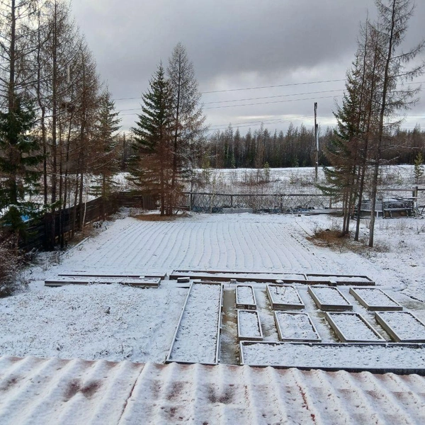 Заниматься огородом в Мирном рановато | Источник: Мирный весь тут / T.me