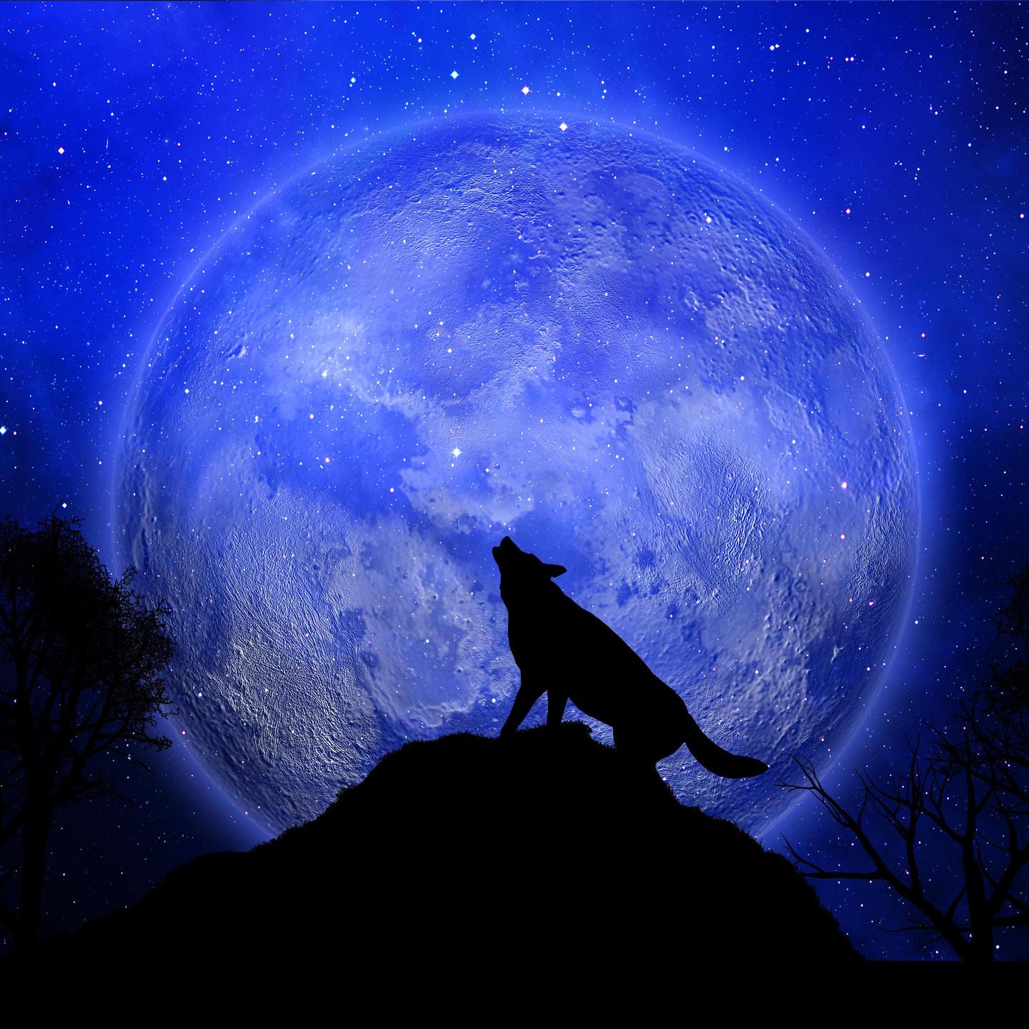 Первое суперлуние 2026 года: что сулит Волчья Луна и почему ее нельзя пропустить