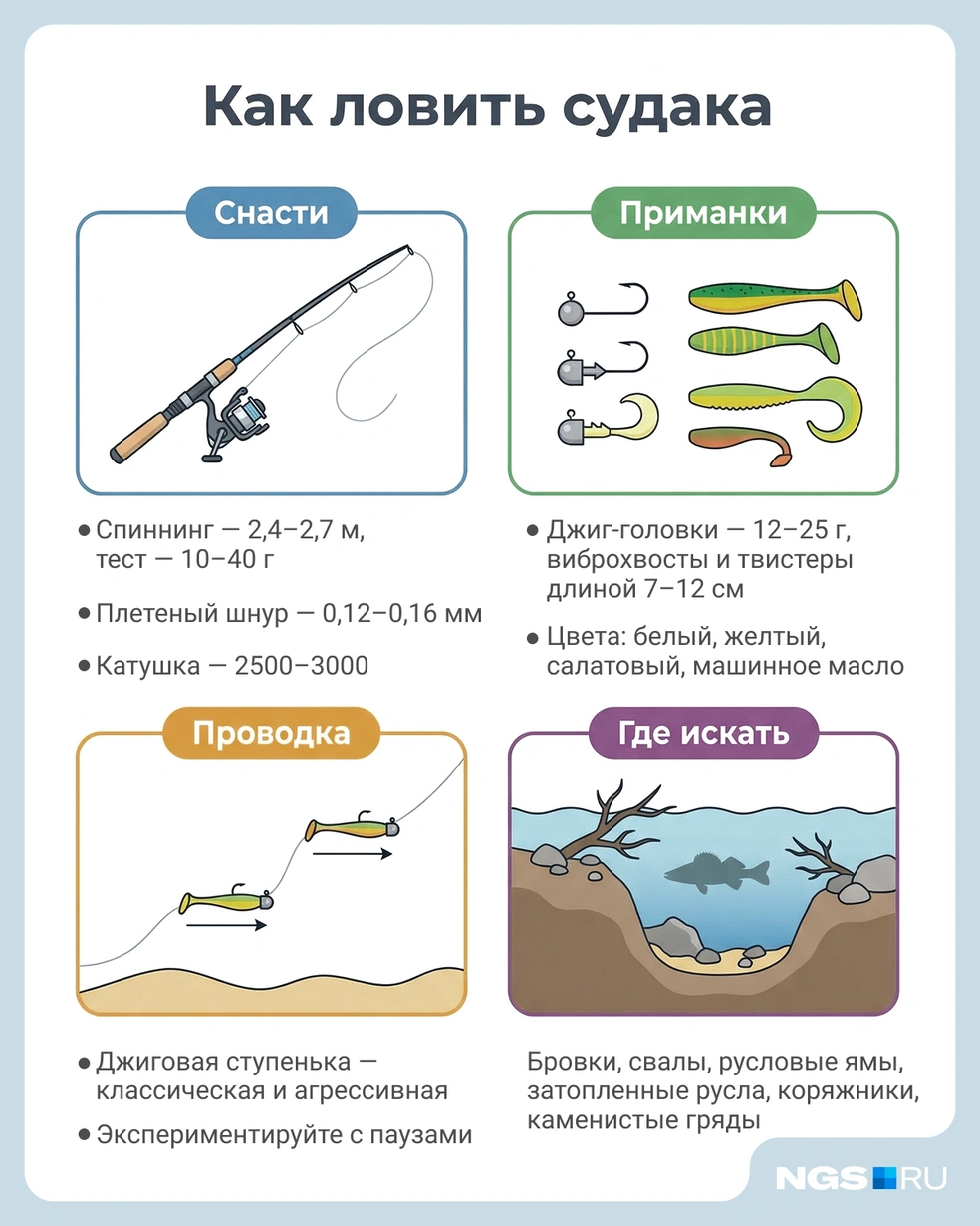 Сохраняйте картинку, чтобы не забыть | Источник: Юрий Орлов / Городские медиа