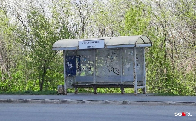 Нет-нет, мэрия будет устанавливать не такие остановки, это — уже имеющаяся | Источник: Анастасия Баринова / 56.RU
