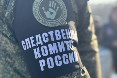 Доследственная проверка из-за травмирования туриста на вулкане Горелый