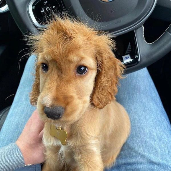 Источник: соцсети