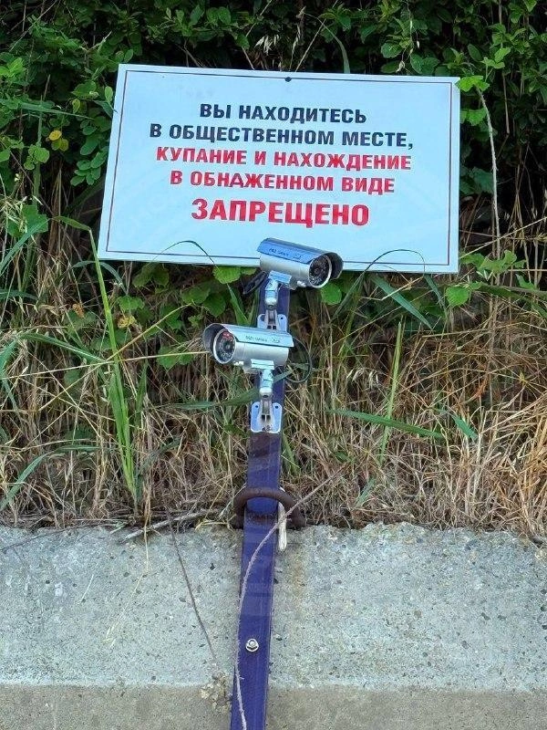 на диком пляже появились камеры, чтобы пугать нудистов | Источник: Типичный Сочи» (18+) /telegram