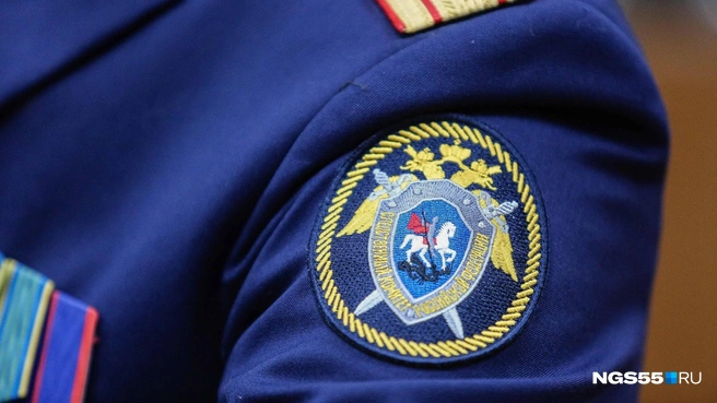 Преступление выявили во время расследования дела против экс-главы районной администрации | Источник: Евгений Софийчук / NGS55.RU