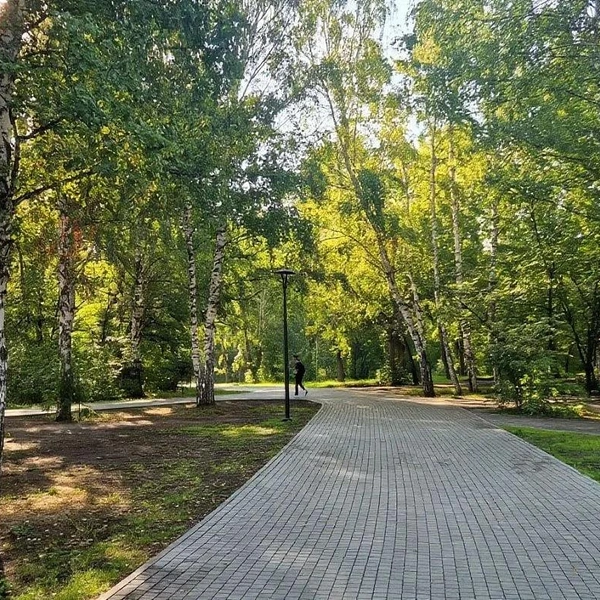 Источник: Администрация Барнаула