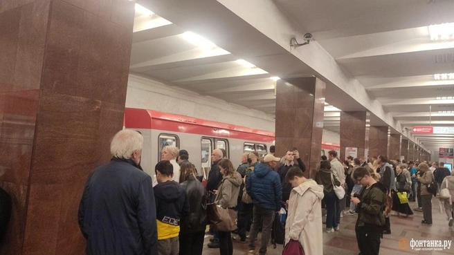 Неисправный состав притормозил метро в Петербурге | Источник: читатель «Фонтанки»