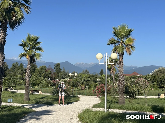 Парк мало похож на природный | Источник: Анна Грицевич / SOCHI1.RU
