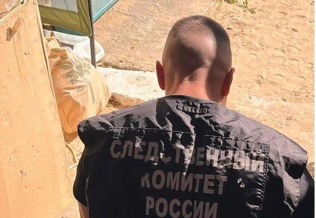 Возбуждено уголовное дело | Источник: СУ СК России по Воронежской области / T.me
