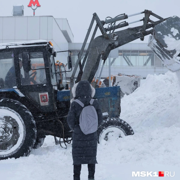 Источник: Дмитрий Толстошеев / MSK1.RU