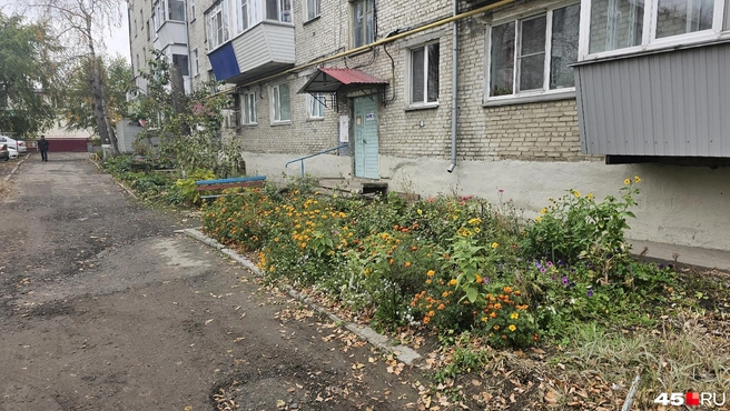 Цветы возле подъездов высаживают сами жильцы | Источник: Дарья Никитченко / 45.RU