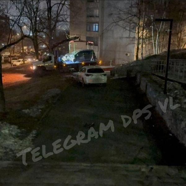 Источник: Dpsvl / T.me