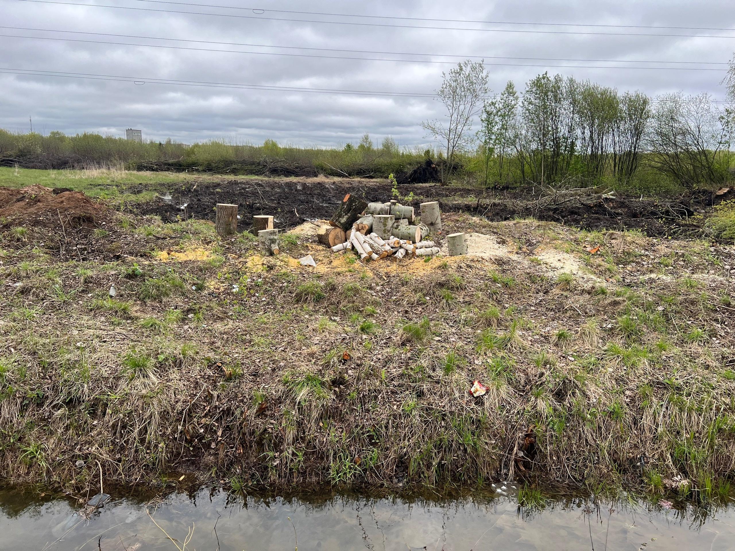 «Ветки не убраны, в могилах вода»: ярославцы — о состоянии нового сектора Осташинского кладбища 