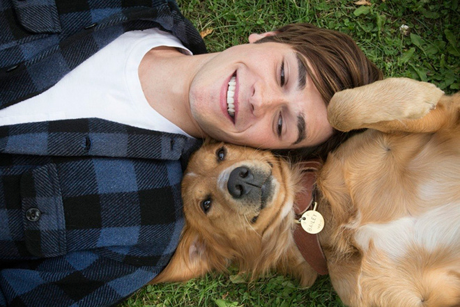 список лучших фильмов 2017