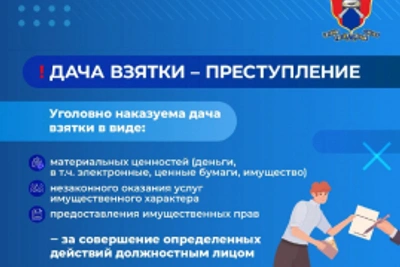В Новгородской области выросло число коррупционных нарушений среди водителей