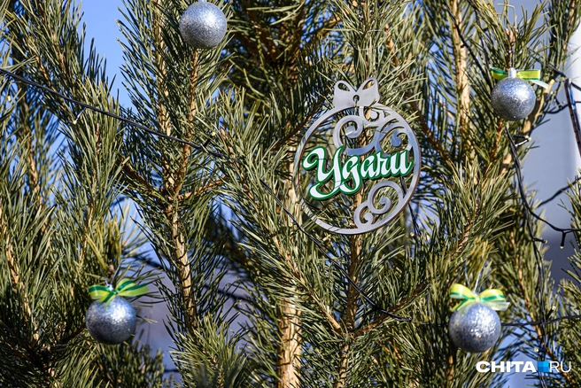 Новогоднее настроение. | Источник: Олег Федоров / CHITA.RU