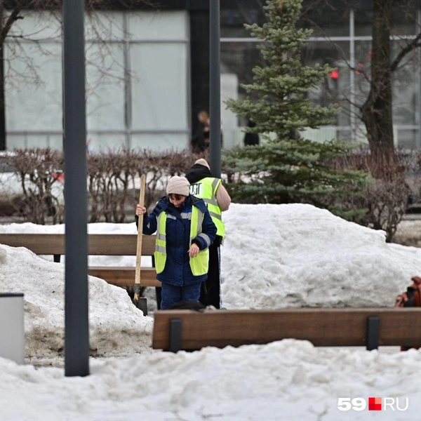 Вот благодаря кому в центре ощущается приближение весны | Источник: Василина Любимова / 59.RU