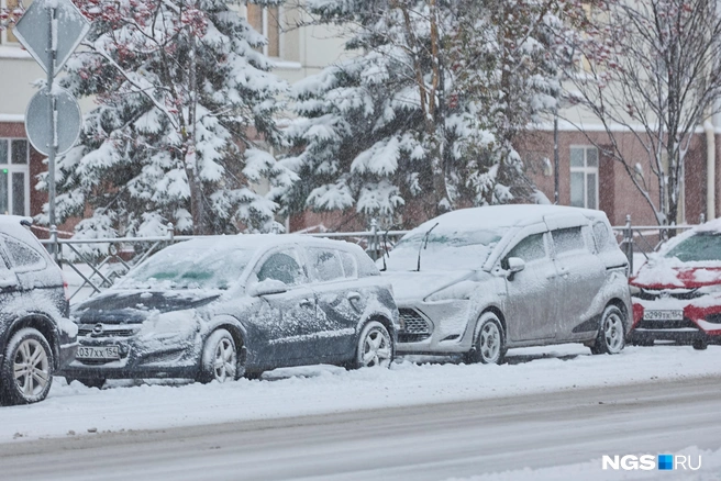 Источник: Александр Ощепков / NGS.RU