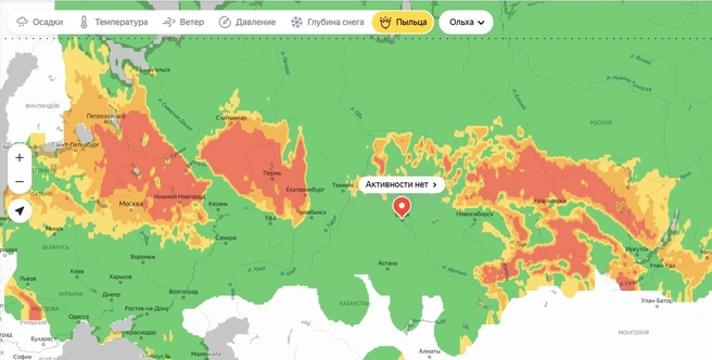 Так цветение ольхи будет распространяться к среде | Источник: yandex.ru/pogoda