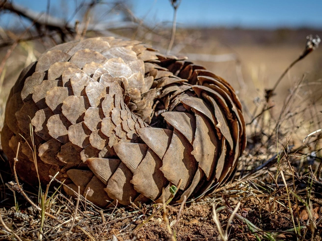 Источник: Simon Eeman / Alamy via Legion Media