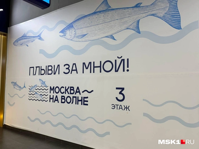 Так выглядит рыбный маркет на улице Дубравная | Источник: Александра Какасьева / MSK1.RU