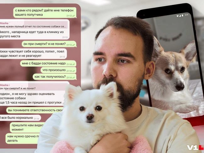 Представитель ответчика отсутствовал на судебном заседании | Источник: Мария Романова / Городские медиа