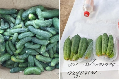 Сравнение цен на огурцы в Архангельске: от 80 до 240 рублей