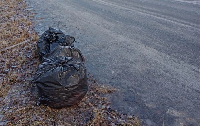 В ТЭО говорят о том, что в нескольких местах могут установиь контейнеры | Источник: читатель 72.RU