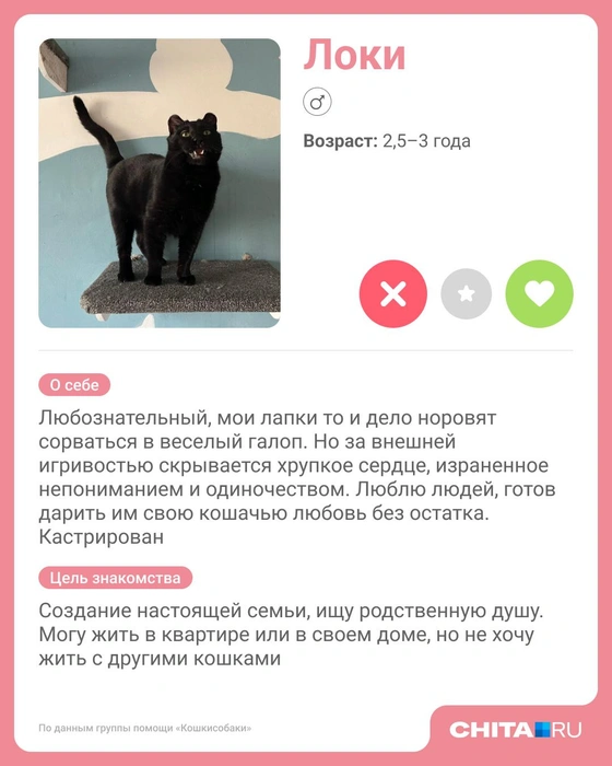 Источник: Юрий Скулыбердин / Городские медиа