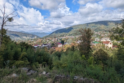 В Сочи председатель СНТ компенсировала 156 млн за захват леса