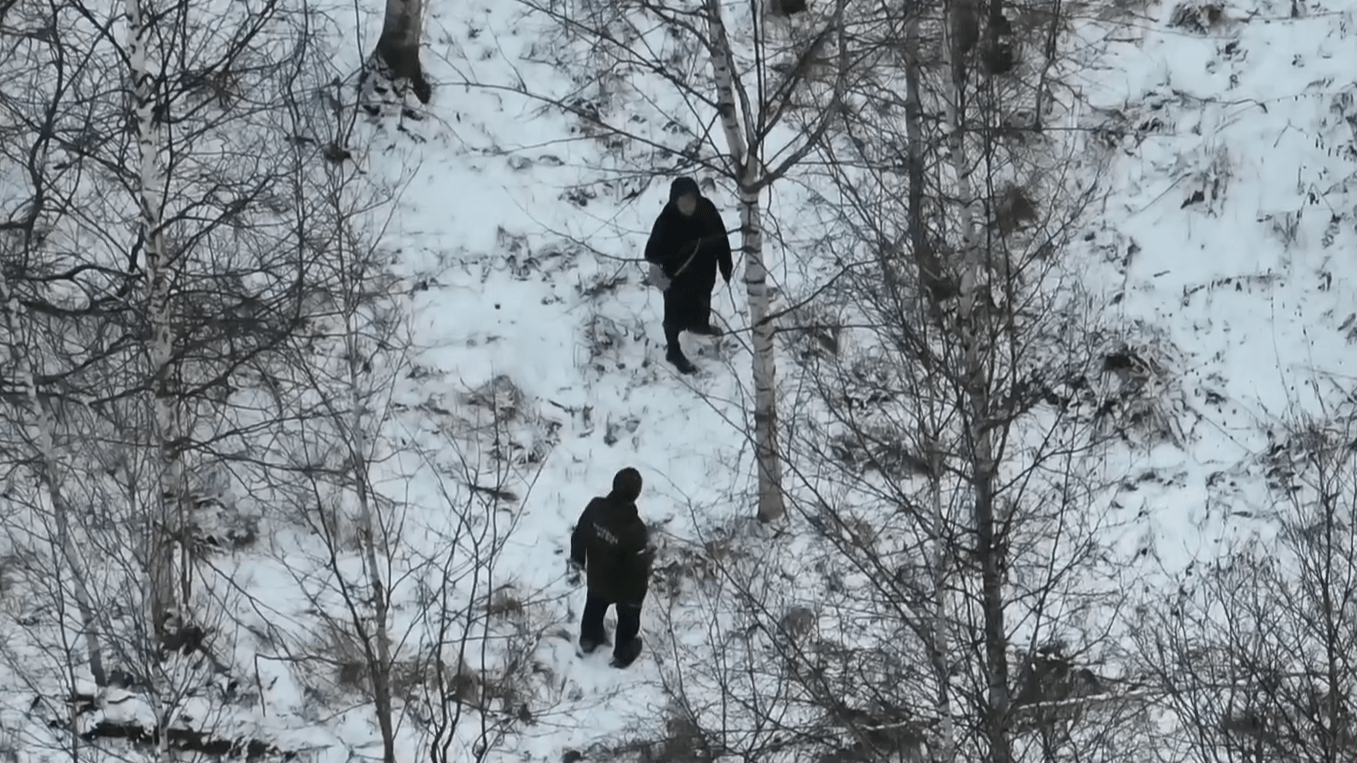 Тюменским многодетным семьям дали землю, а дороги нет — они написали президенту