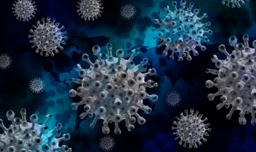В Бразилии обнаружили новый штамм коронавируса