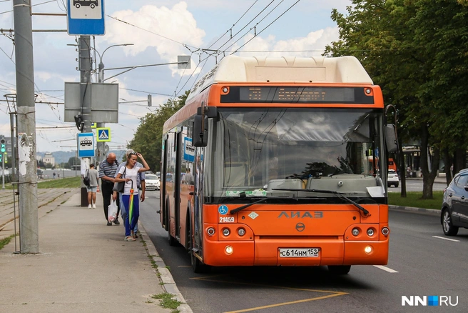 На линии — большие автобусы ЛиАЗ | Источник: Наталья Бурухина / NN.RU