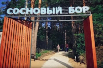 Сосновый бор в Лысых Горах стал зоной отдыха