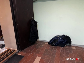 Источник: Дмитрий Толстошеев / MSK1.RU