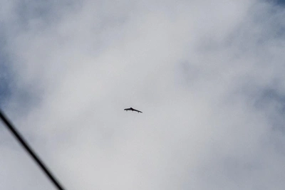 БПЛА атаковали Москву: небо над Домодедово закрыли