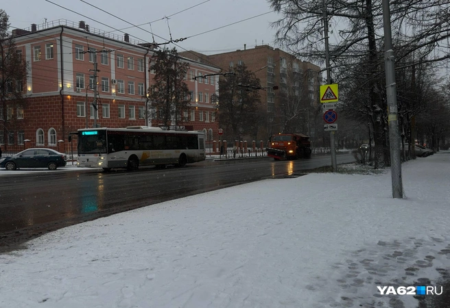 Первый снег ждет рязанцев совсем скоро | Источник: Виктория Улитова / YA62.RU